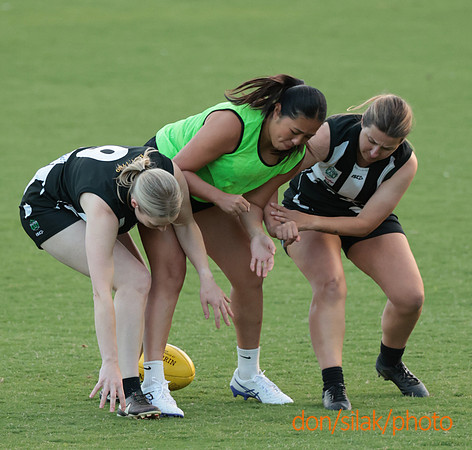Senior Womens Footy