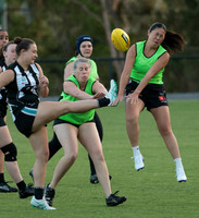 Senior Womens Footy