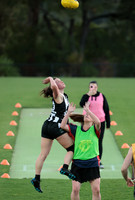 Senior Womens Footy