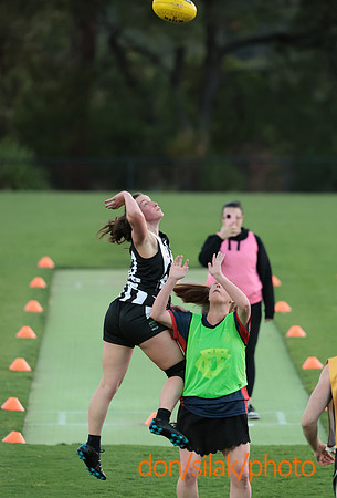 Senior Womens Footy