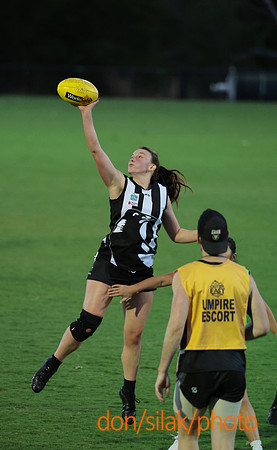 Senior Womens Footy