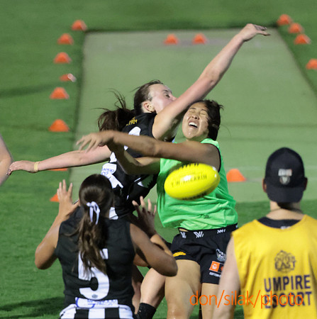 Senior Womens Footy