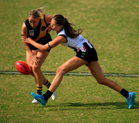 Senior Womens Footy