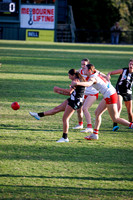 Senior Womens Footy