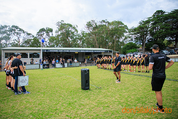 Senior Womens Footy