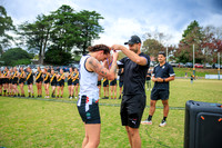 Senior Womens Footy