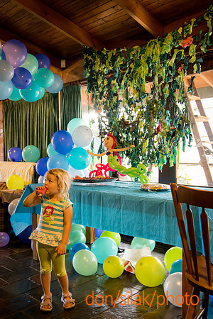 Photo by Don Silak