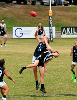 DSPhoto-2025 Apr 25_01133