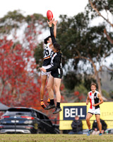 2026 Round 8 Belgrave v Olinda