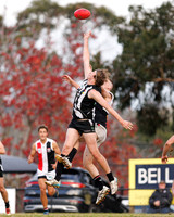 2026 Round 8 Belgrave v Olinda
