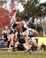 2026 Round 8 Belgrave v Olinda
