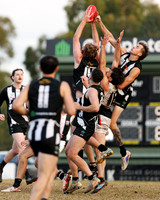2026 Round 8 Belgrave v Olinda