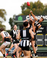 2026 Round 8 Belgrave v Olinda