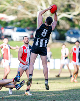 2026 Round 8 Belgrave v Olinda