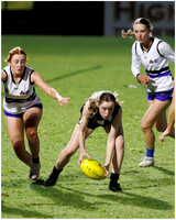 DSPhoto-2026-04-10-0454