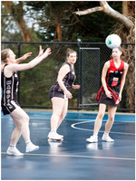 DSPhoto-2026-07-04-413373