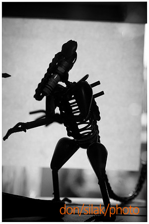 dsPhoto_2013-Mar-22_20232