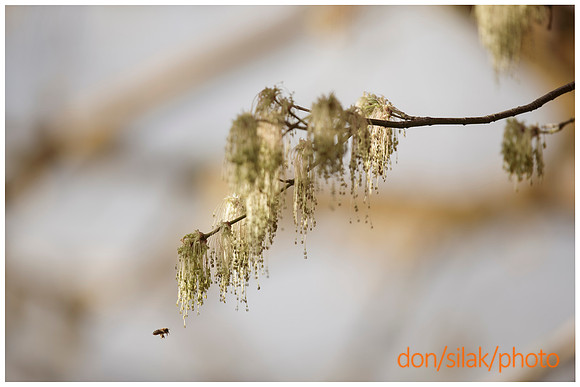 dsPhoto_2015-Sep-10_28545