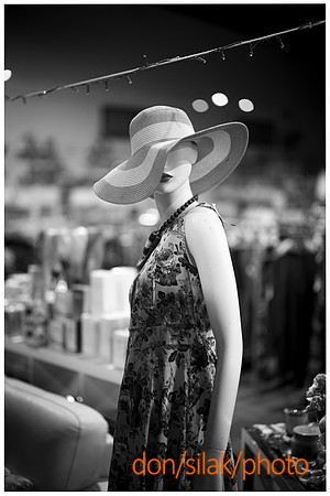 DSPhoto-2024 Dec 28_276002