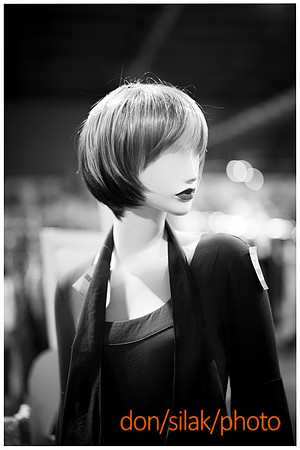 DSPhoto-2025 Oct 18_362532