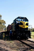 Mornington Railway