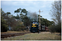 DSPhoto-2025 Apr 19_311711