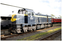 DSPhoto-2026-06-20-412463