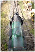 DSPhoto-2026-06-20-412546