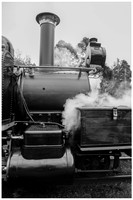 Puffing Billy Railway 2020