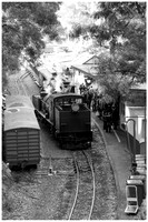 dsPhoto_2012-Jul-22_12413