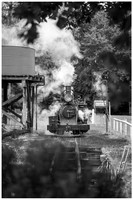 dsPhoto_2020-Jan-05_22298