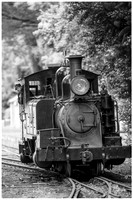 dsPhoto_2020-Feb-02_22365