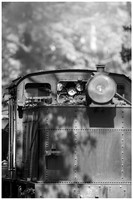 dsPhoto_2020-Feb-02_22383