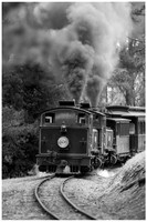 dsPhoto_2020-Feb-02_22372