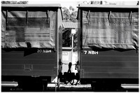 DSPhoto-2026 Mar 14_373610