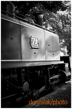 DSPhoto-2025 Jan 02_277106